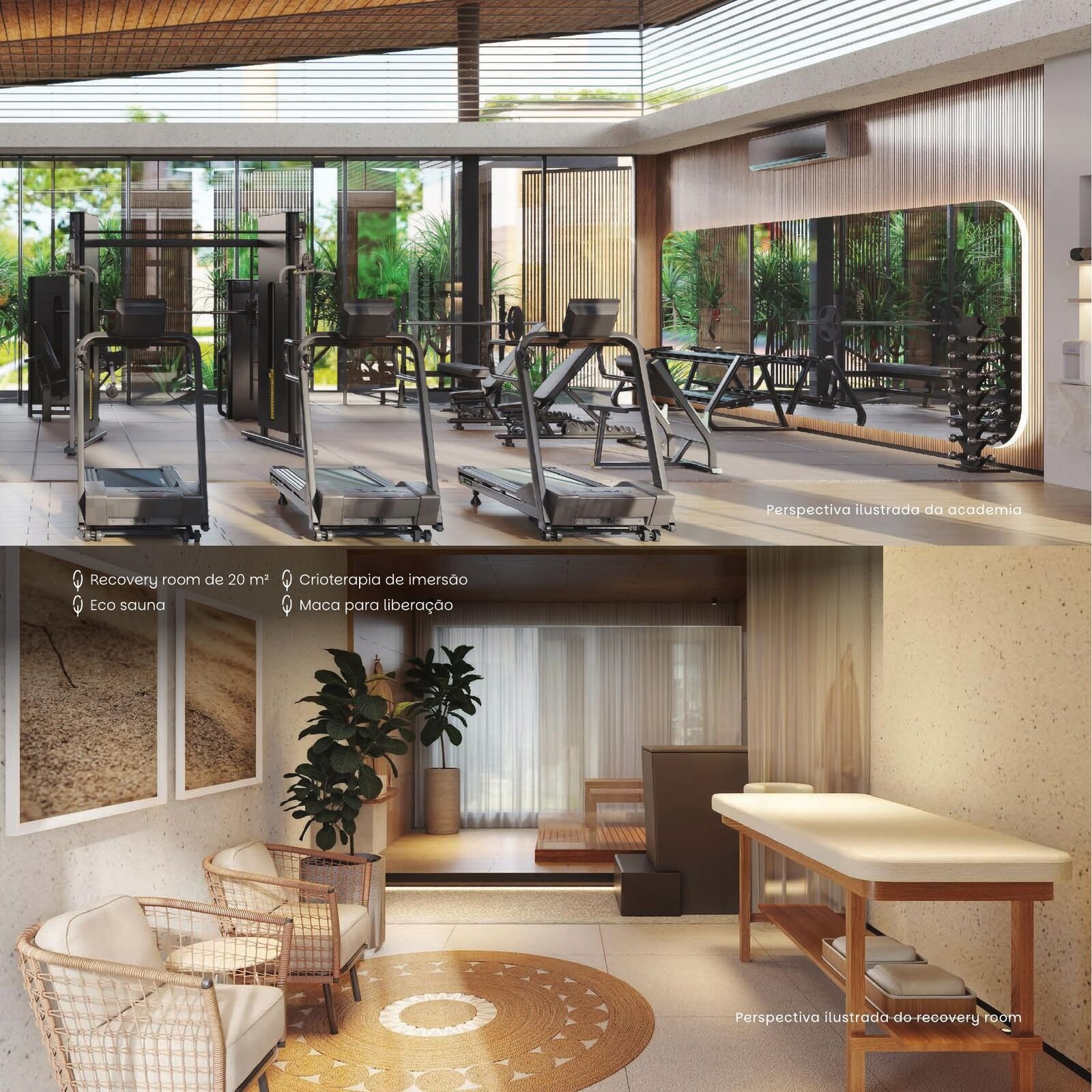 Wellness